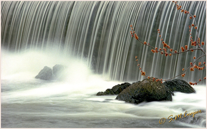 S.M. Cooper Photography Award Winning Images