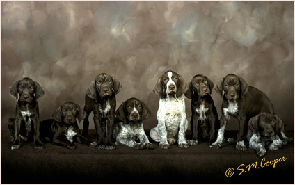 S.M. Cooper Photography Award Winning Images