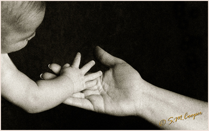 S.M. Cooper Photography Award Winning Images