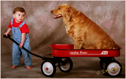 S.M. Cooper Photography Award Winning Images